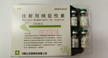 Gonadotropina coriônica para a injeção, HCG, pó branco, padrão de USP